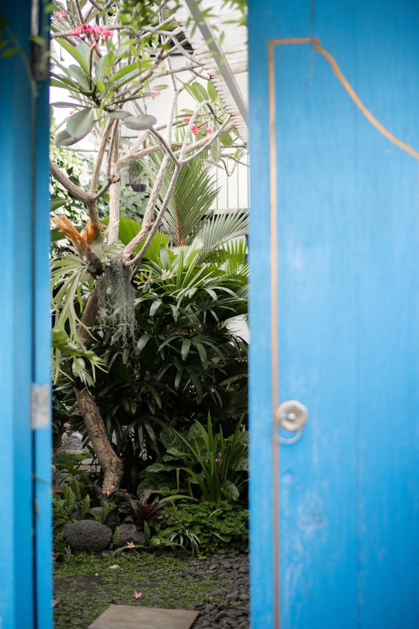 Betah Homestay Banyuwangi Banyuwangi  Exteriér fotografie